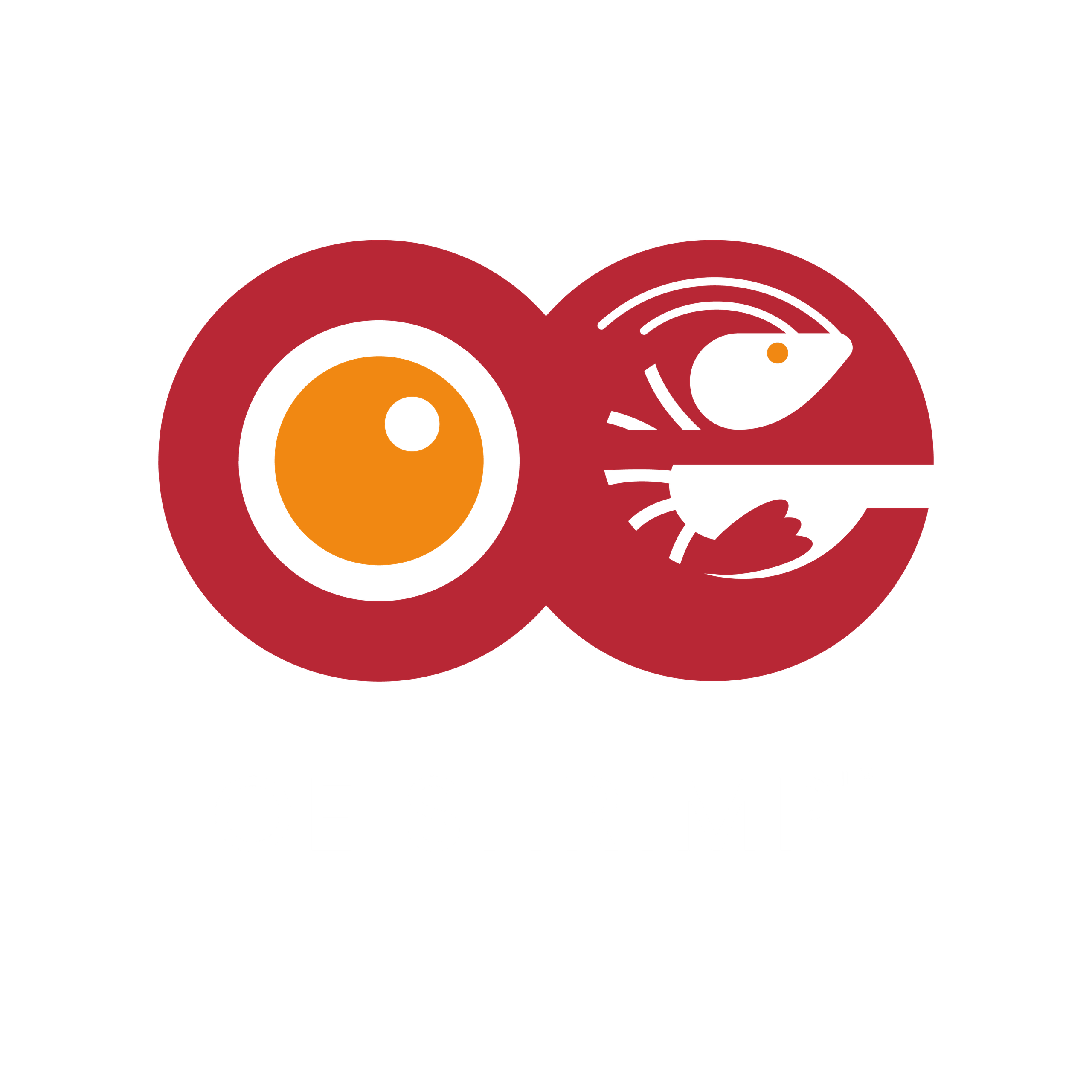 OE Shrimp